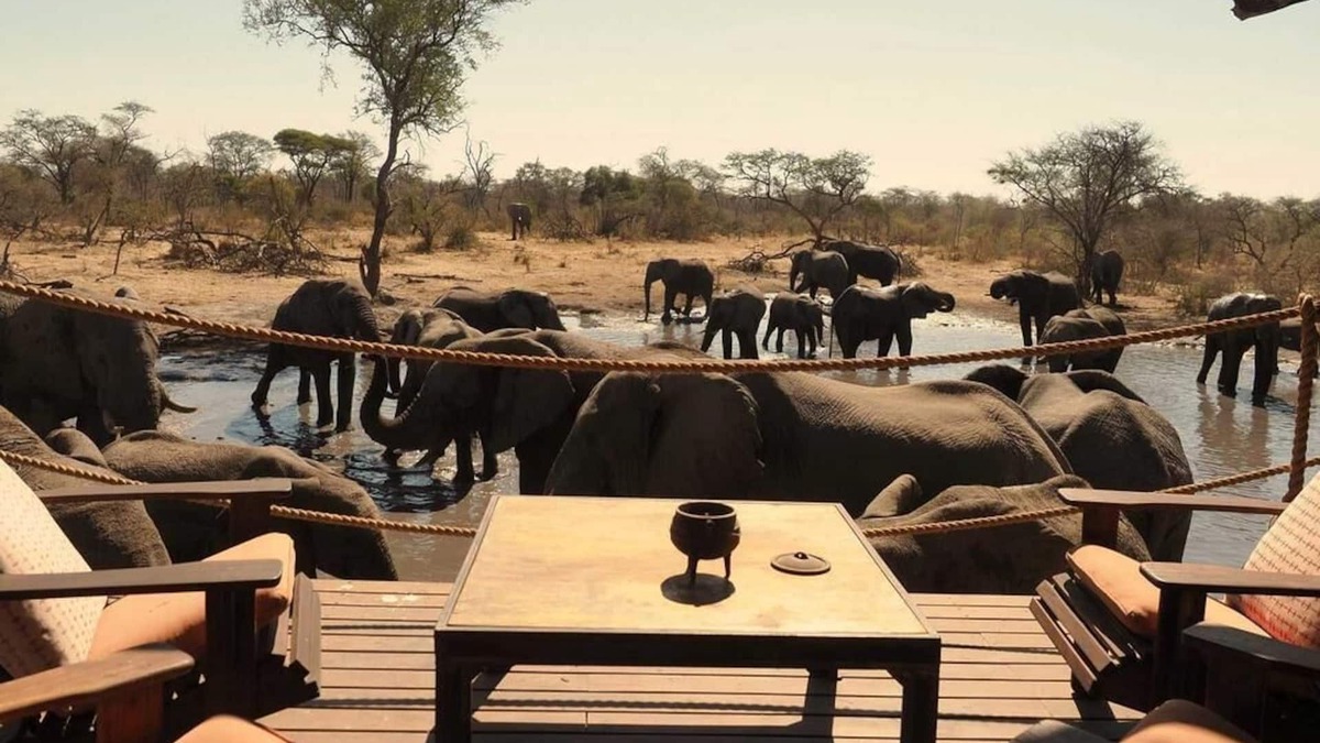 North-West District Cabin | Total privacy in Botswana's wilderness!