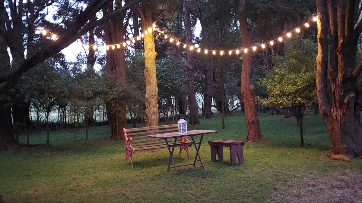 Cheltenham Cabin | Totara Croft - a stargazers dream