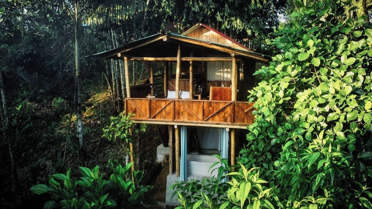 Ramonurcu Cabin | Toucan Lodge | Amazon Rainforest Retreat