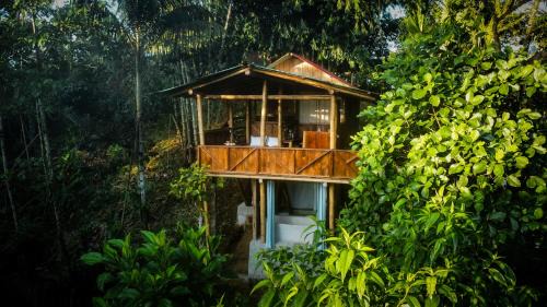 Ramonurcu House | Toucan Lodge
