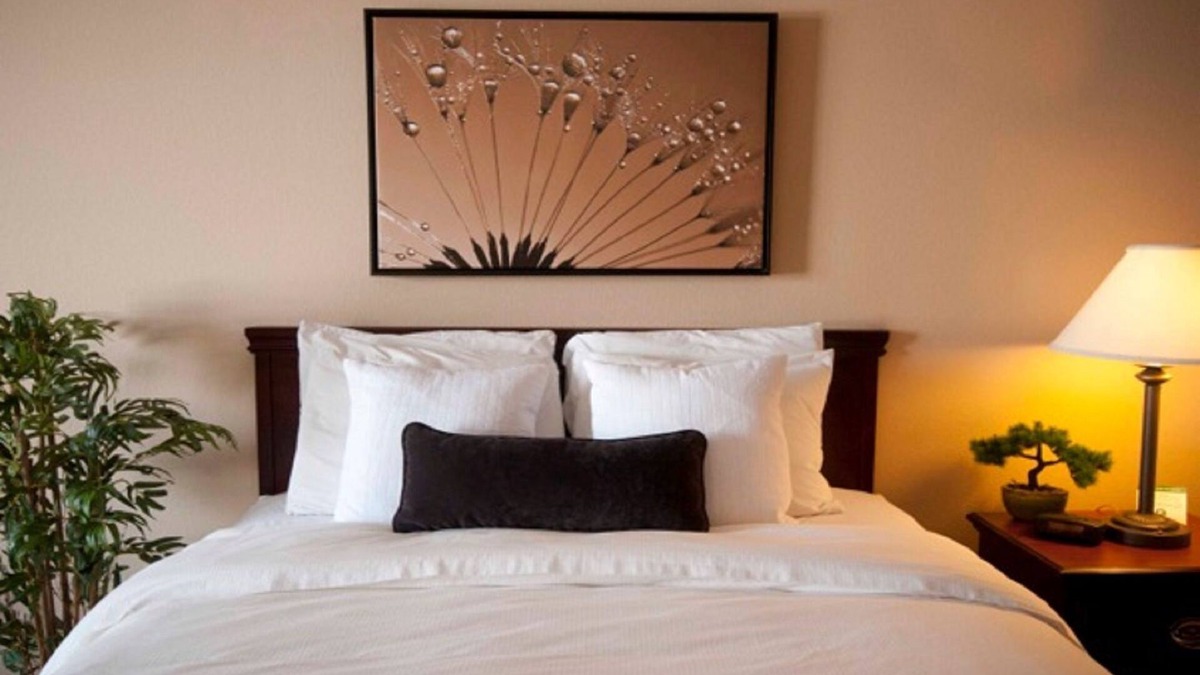 Quincy Hotel | Town & Country Inn and Suites