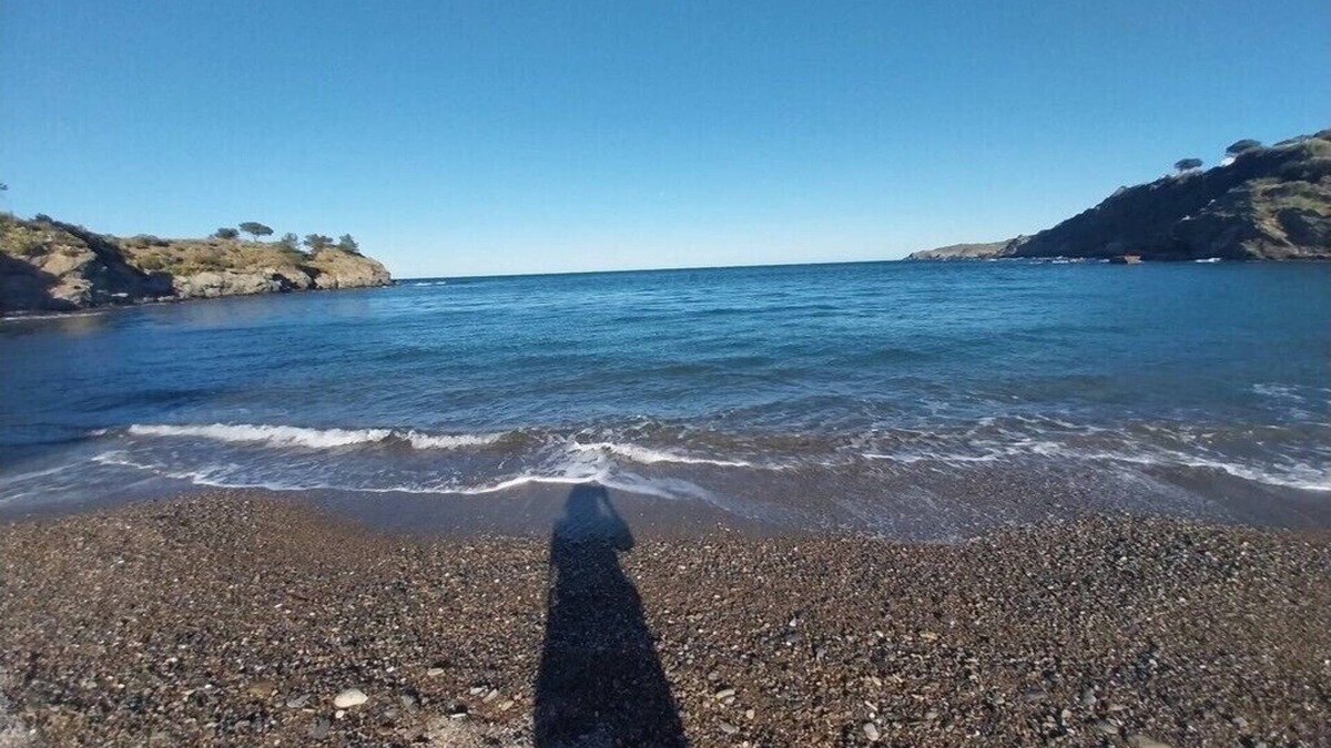 Banyuls-sur-Mer Apartment | Très bel Appartement les Pieds ds l Eau, 6 Personnes, Idéal Famille, Animal ok
