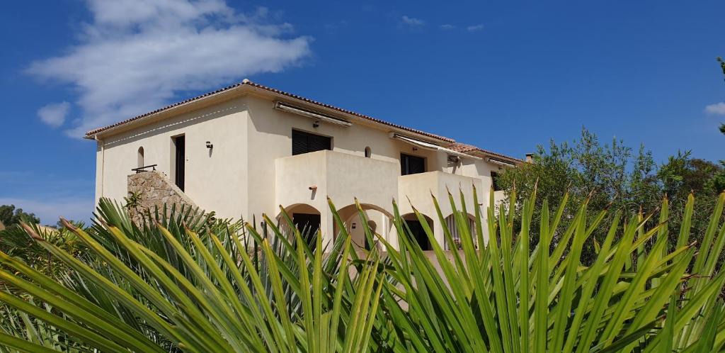 Calvi Apartment | Très bel appartement,proche plage et centre ville.