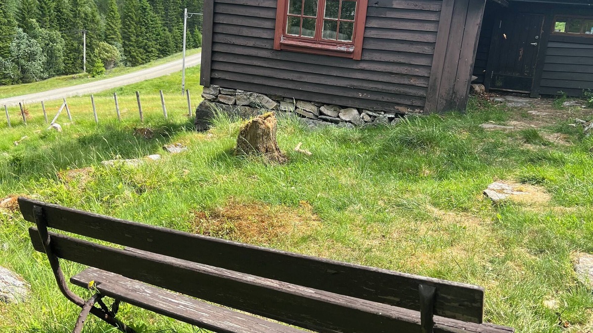 Evanger Cabin | Tradisjonell norsk hytte i Rasdalen