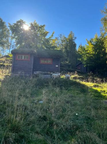 Evanger House | Tradisjonell norsk hytte i vakre Rasdalen