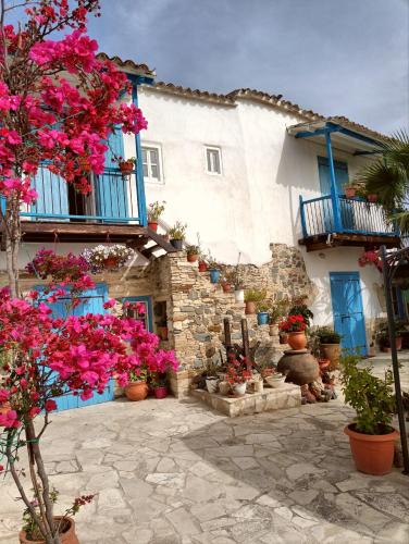 Pera House | Traditional House in Pera