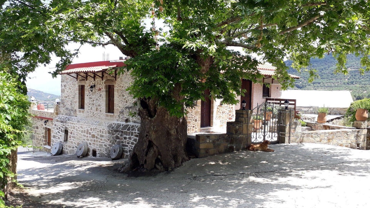 Koukounara Cottage | Traditional house koukounara