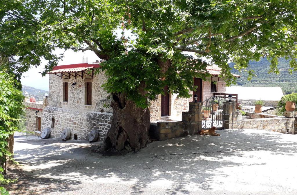 Koukounara House | Traditional House Koukounara