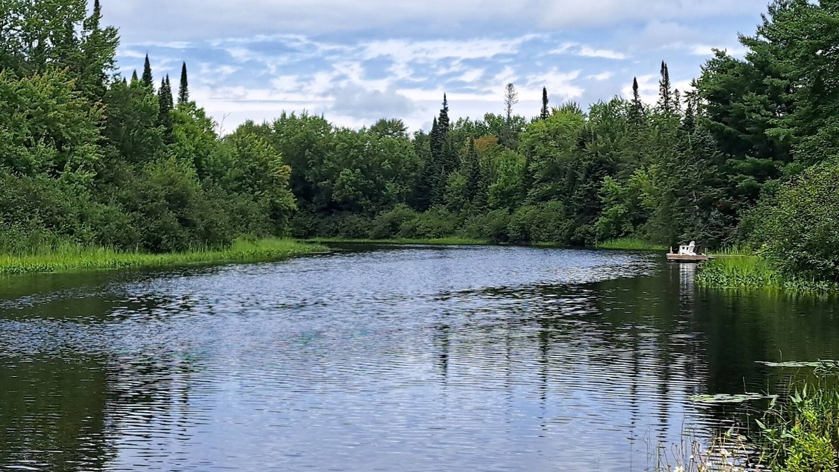 Ryerson Cottage | Tranquil, airy cottage just steps from the river with miles of boating fun!
