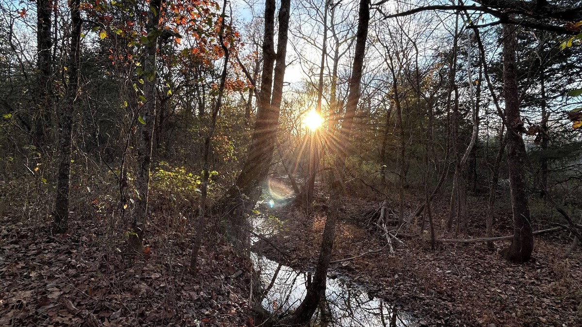 Cherokee Village Cabin | Tranquil cabin with AC and 2 creeks on secluded 5 acres with WiFi