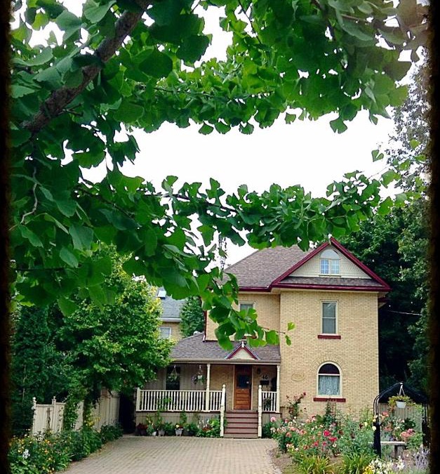 Stratford Bed & Breakfast | Tranquil Days Guest House - a truly exceptional bed and breakfast