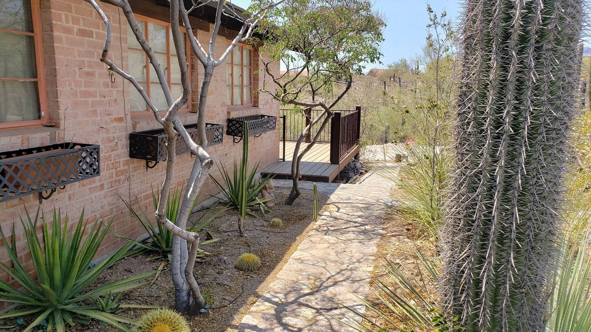 Catalina Foothills Estates House | Tranquil Desert Retreat