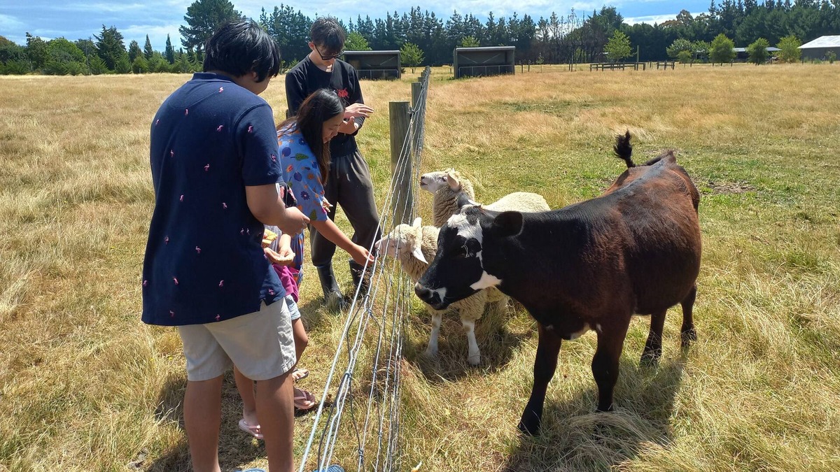 Christchurch Cottage | Tranquil eco getaway close to the airport