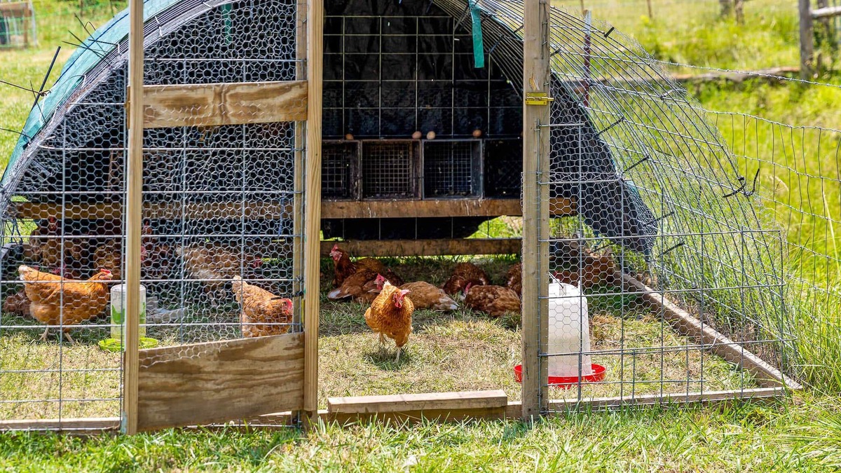 Lookout Valley Neighborhood Association RV Rental | Tranquil Farm Yurt - Mountain View