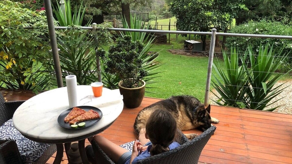 Grose Vale Cottage | Tranquil Farmstay Cottage KURRAJONG on acres pet friendly 1 hr Syd