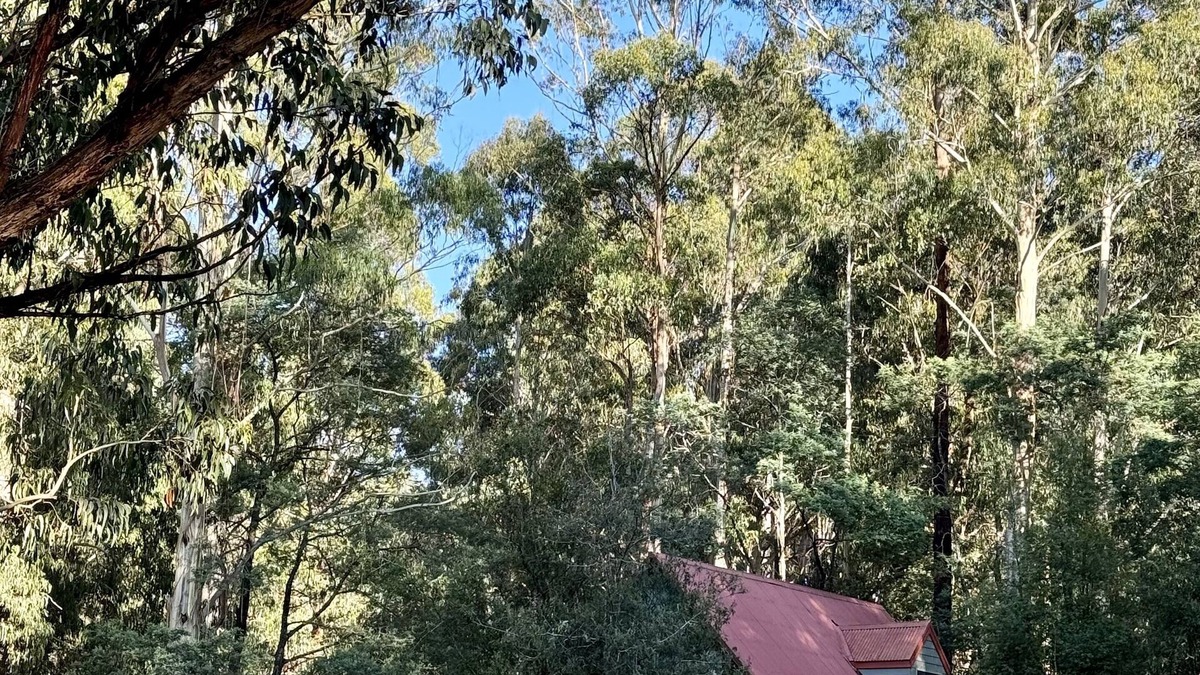 Icy Creek Cabin | Tranquil getaway amidst nature in Icy Creek, near Toorongo Falls & Mt Baw Baw.