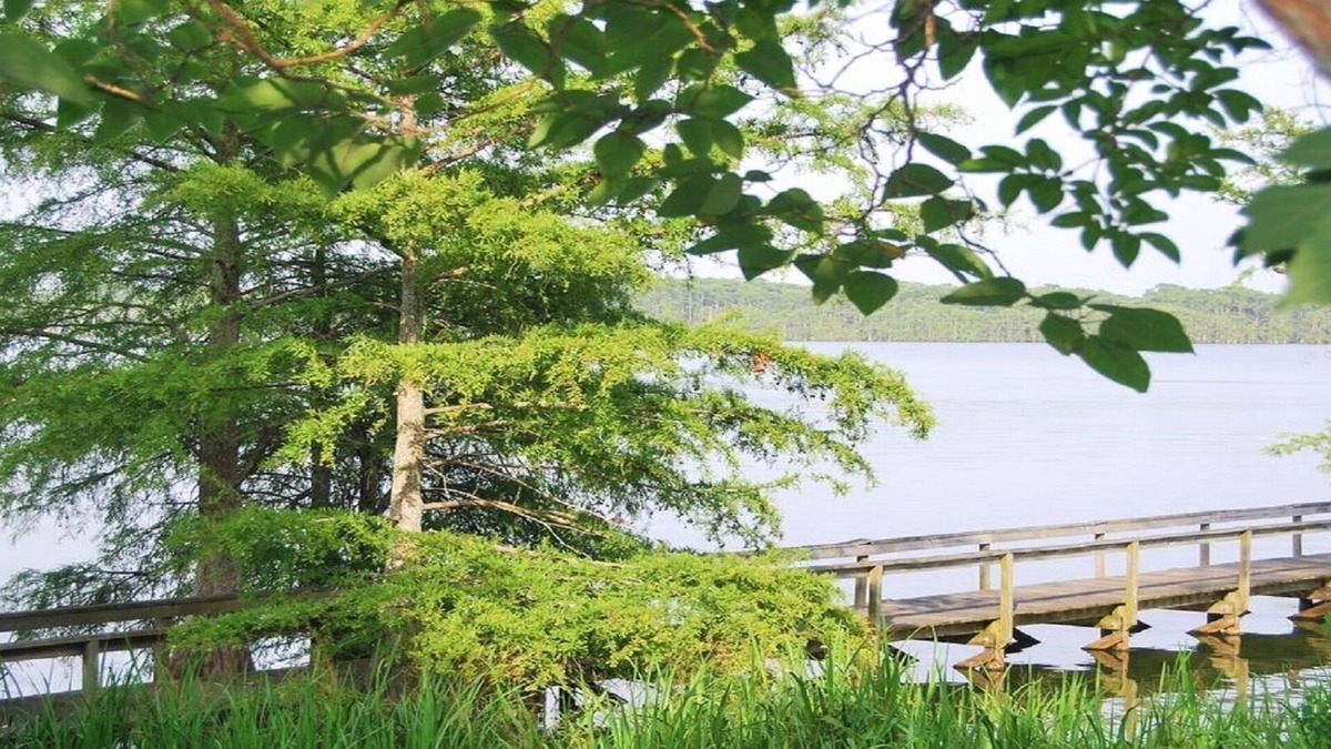 Ferriday Cottage | Tranquil Getaway - Fishing Haven