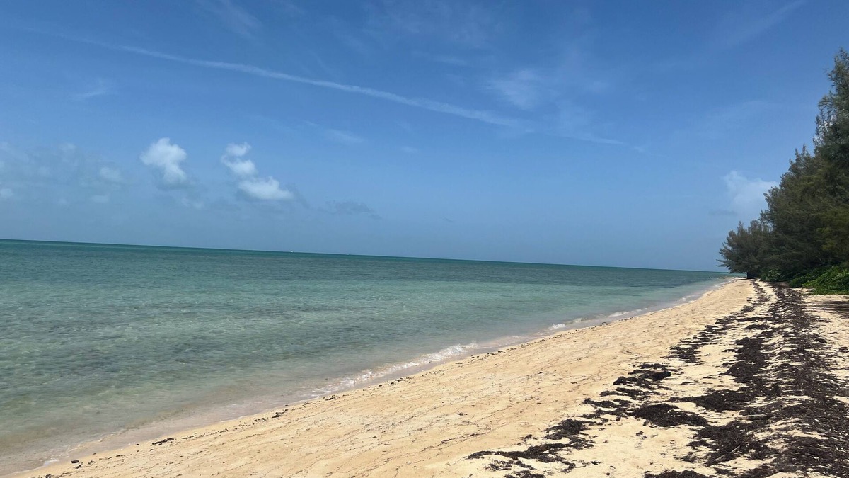 Coral Harbour House | Tranquil Guest Suite in Coral Harbour (Near Albany & Airport)