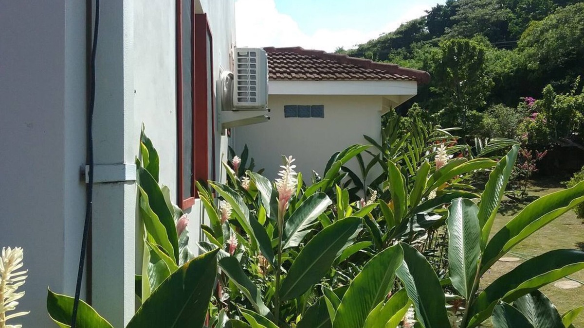 Discovery Bay Apartment | Tranquil hideaway for travelers needing to unwind and be In tune with nature