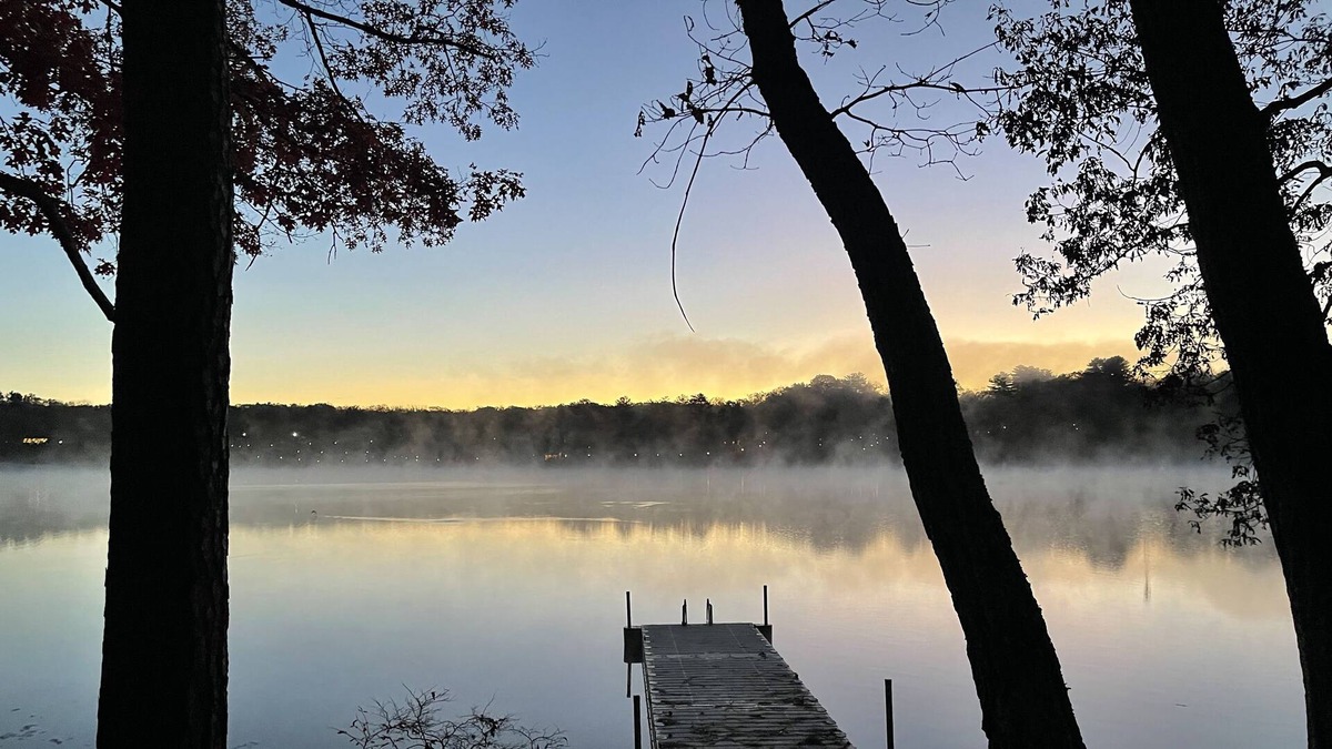 Rowland Cabin | Tranquil Lakefront Getaway ~ King Master~ Backyard