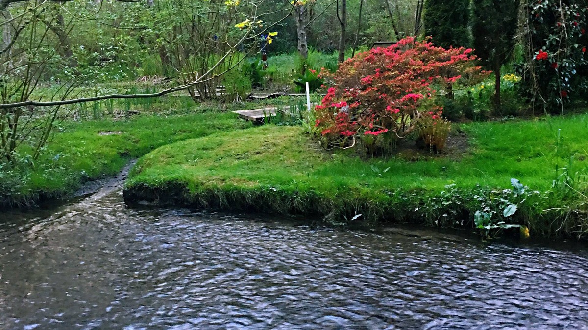 Lake Forest Park House | Tranquil Waterside Retreat: Newly Remodeled, AC, Creek Serenade