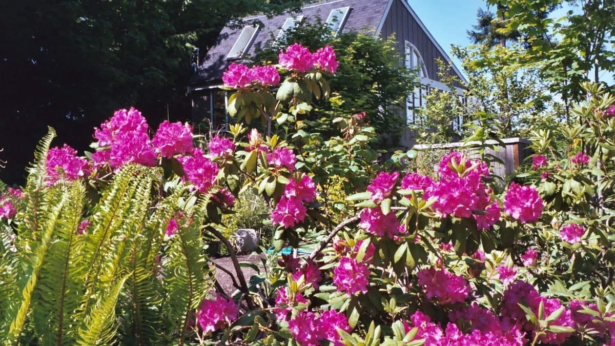 Rollingbay House | Tranquility and Peaceful Guest House Offers Guests A Quiet & Beautiful Getaway!