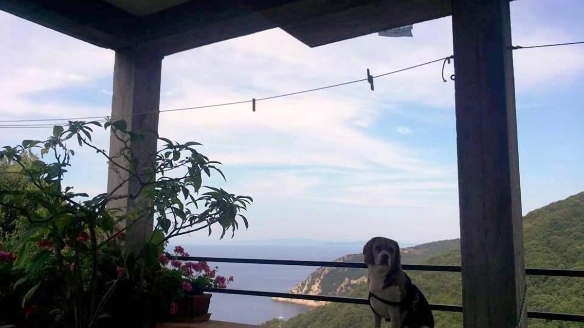 Marciana Apartment | Tranquility and spectacular views