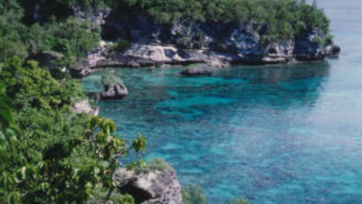 Moso Island Hotel | Tranquility Island Resort