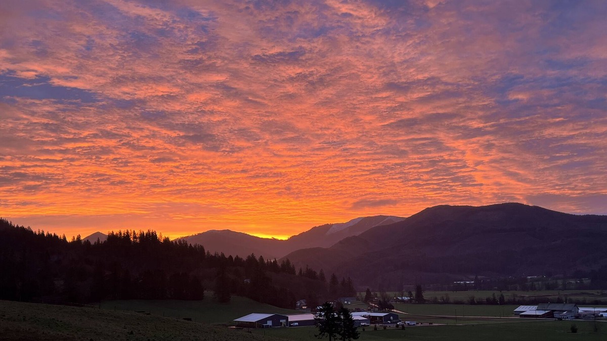 Tillamook House | TRASK RIVER HOUSE: A unique home with great views!nMax 9 adults, 3 kids