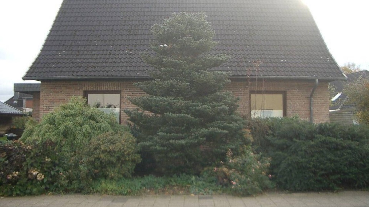 Flensburg Apartment | Traumhafte Ferienwohnung Käthi