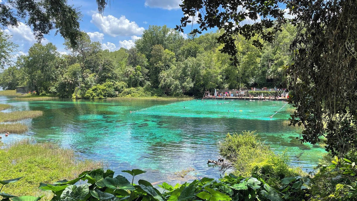 Homosassa House | Travel and discover central Florida Springs while staying in our modest home.