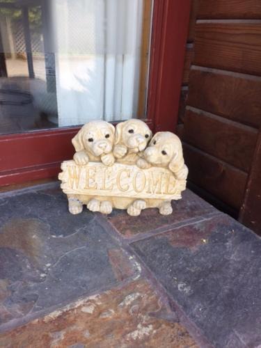 Christchurch Bed & Breakfast | Travellers Retreat B&B