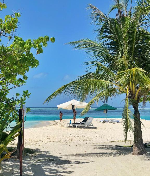 Dhiffushi House | TravelRim Maldives
