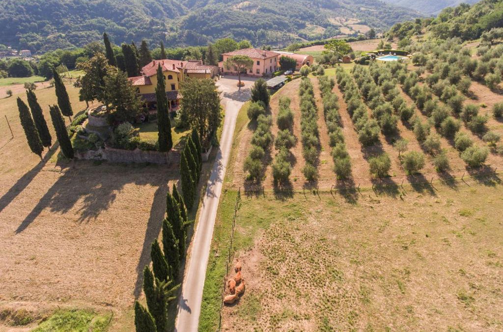 Dicomano House | Trebbiolo