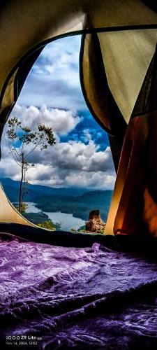Suryanelli Other | Treckkers tracks camping