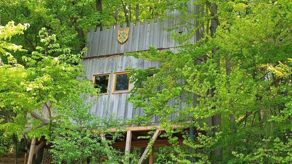 Solling Apartment | Tree house castle, living/bedroom - Baumhaushotel Solling