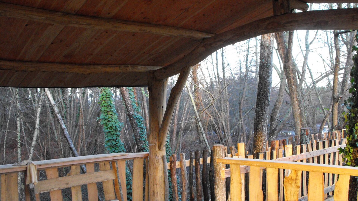 Allons Cabin | Tree house