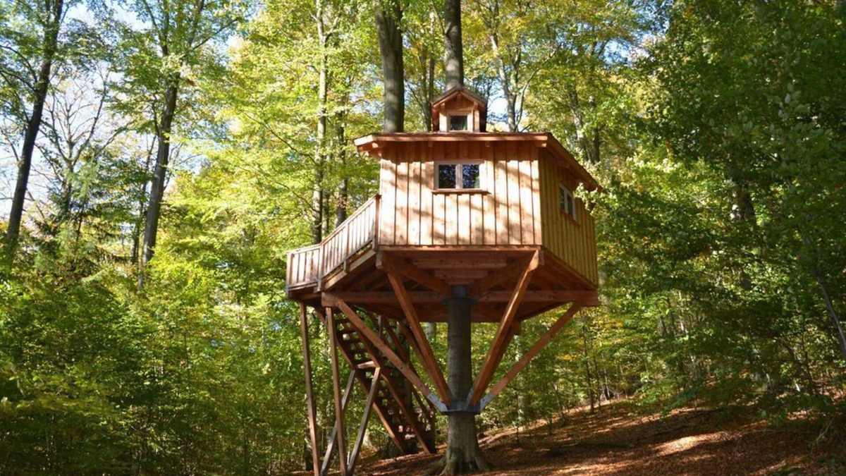 Solling Apartment | Tree house Kobel, living/sleeping room - Baumhaushotel Solling