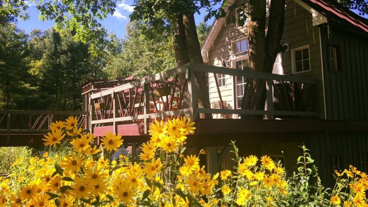 Gloversville Cabin | Tree house lots birds great location . . lots to do all summer long .