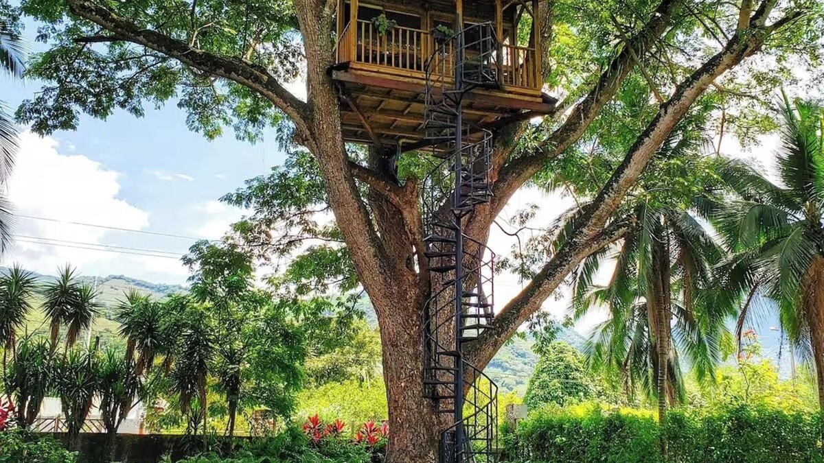 Utica House | Tree house Lunna, near Bogota in Utica Cundinamarca