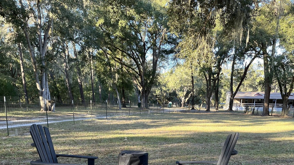 Dunnellon Cottage | TREE HOUSE! OFF THE GRID STAY! 10 minutes to Rainbow River 20 minutes to WEC