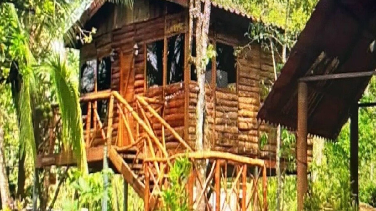 Florencia Cabin | Tree House River
