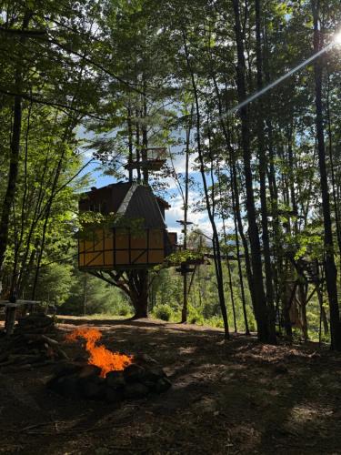 Braintree Other | TREE HOUSE with 850 feet ZIP LINE