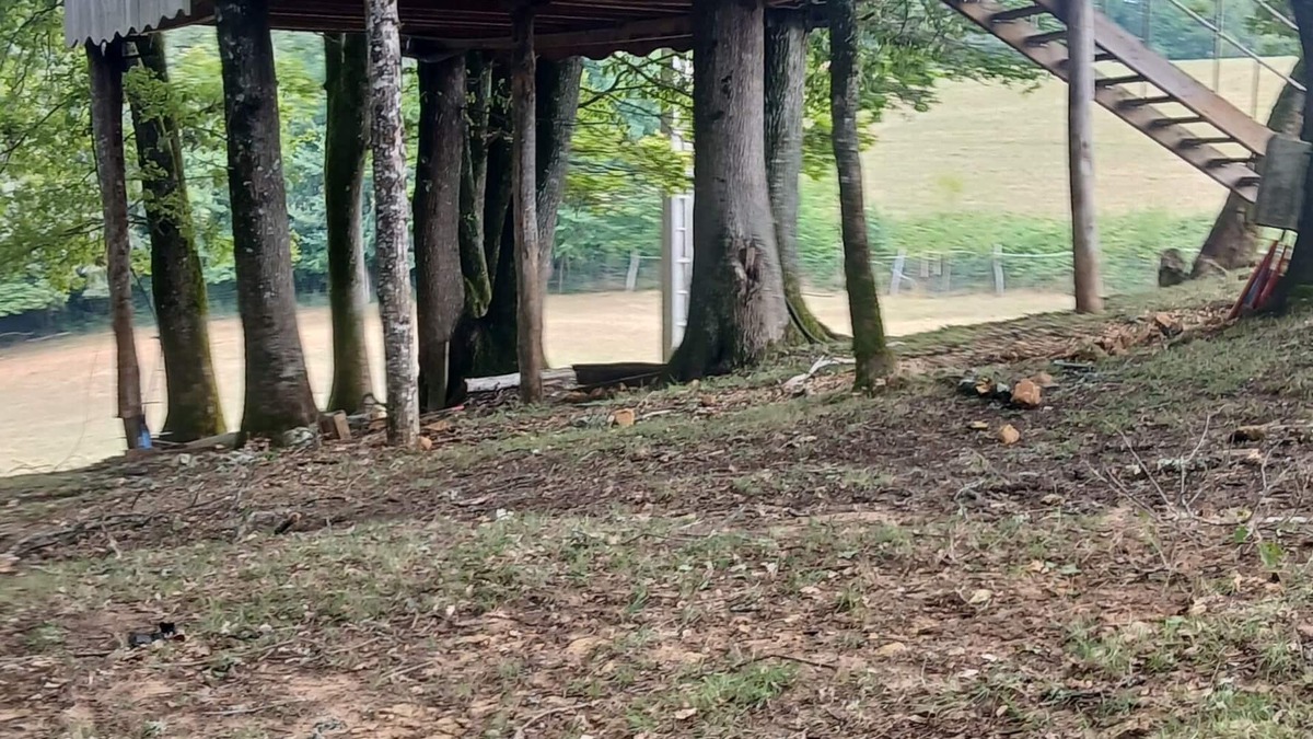 Mazeyrolles Cabin | Tree houses in Périgord Noir