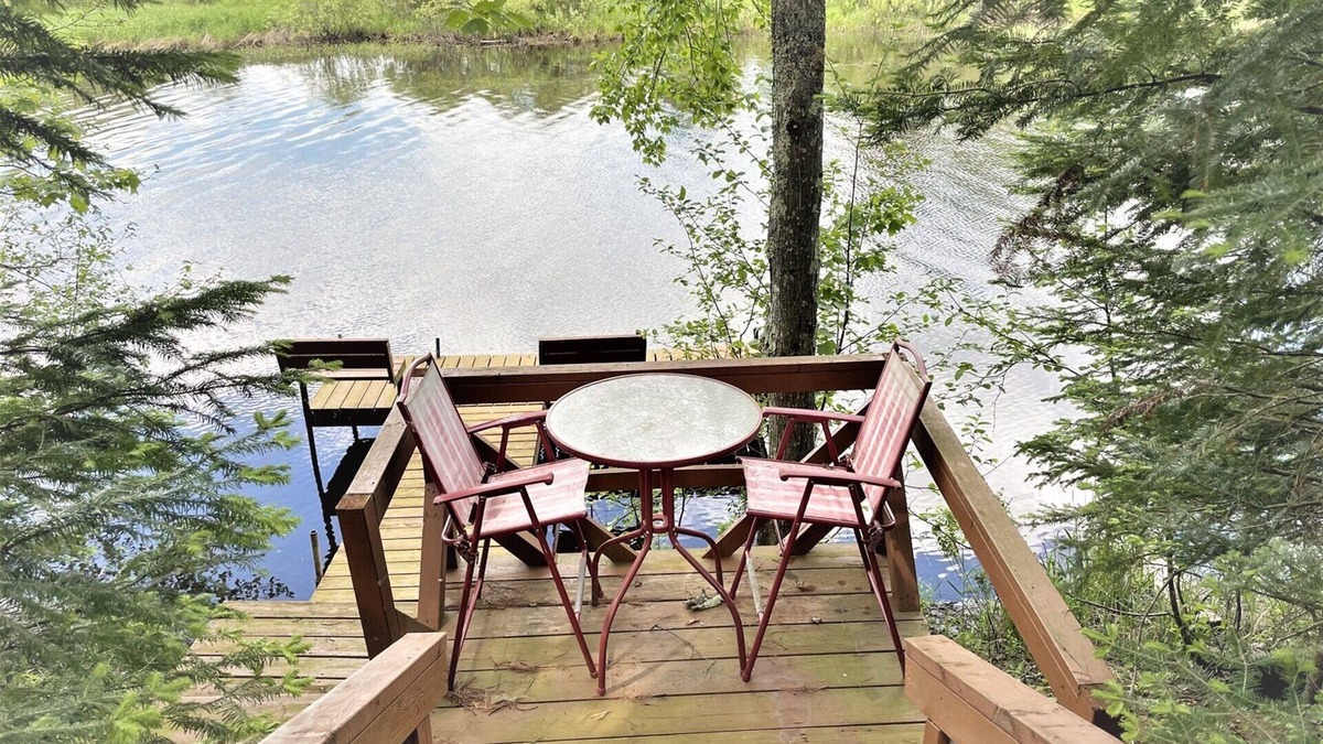 Park Falls House | Tree Top Retreat | 3 Bed, 2 Bath