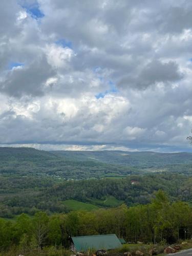 Trenton House | Tree top View 15