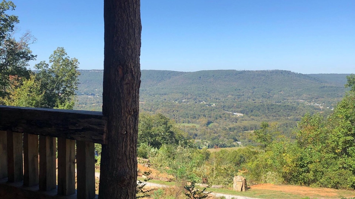 Wildwood Apartment | Tree Top View