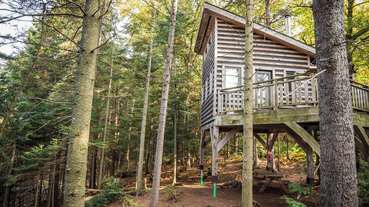 Saint-Faustin-Lac-Carre House | Treehouse #05 | The Bee