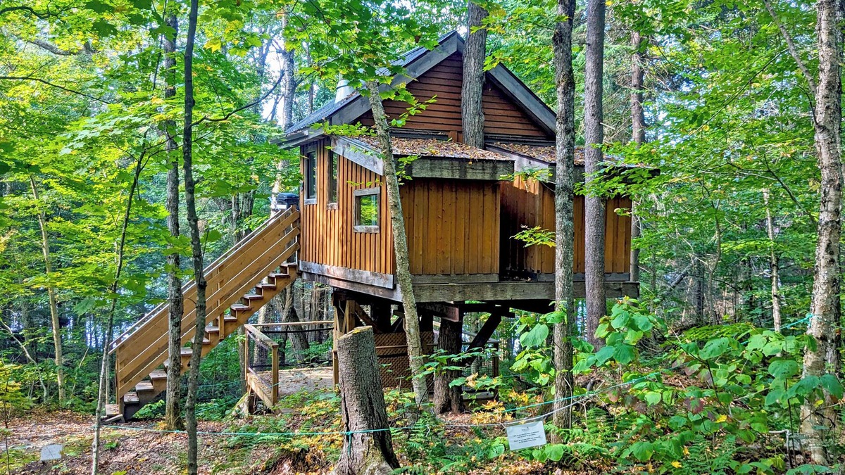 Saint-Faustin-Lac-Carre House | Treehouse #08 (In the forest)