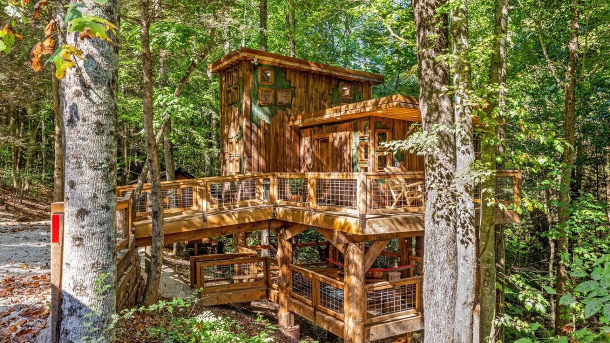 Rogers Apartment | Treehouse - Amazonia - Red River Gorge, KY